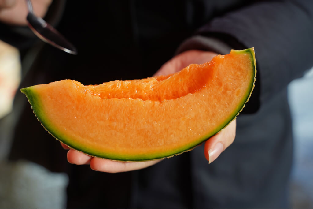 A slice of juicy Yubari melon from Hokkaido.