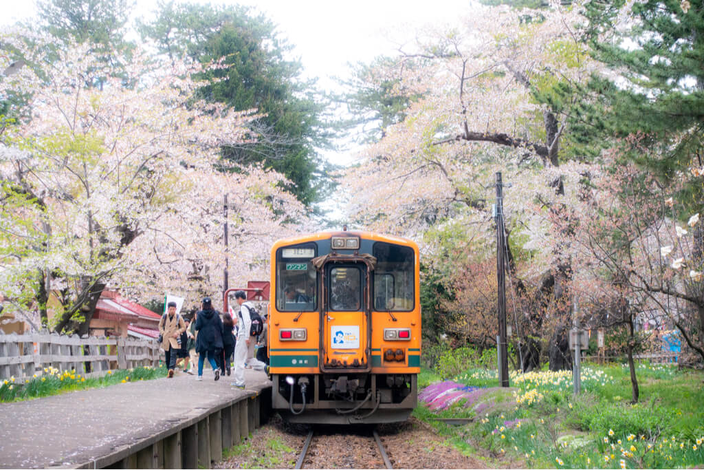 People getting off of a train at Ashino Park with many cherry blossoms blooming over the train and in the background.