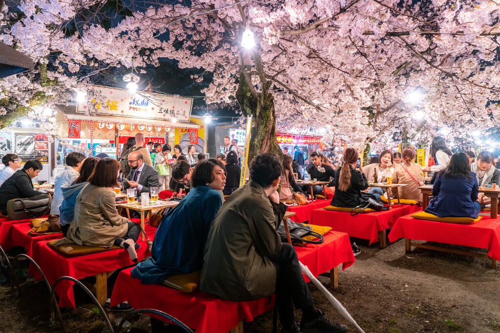 Many people sit at slightly elevated red tables as they enjoy beer and food under the cherry blossoms, with food and drink stalls in the background.