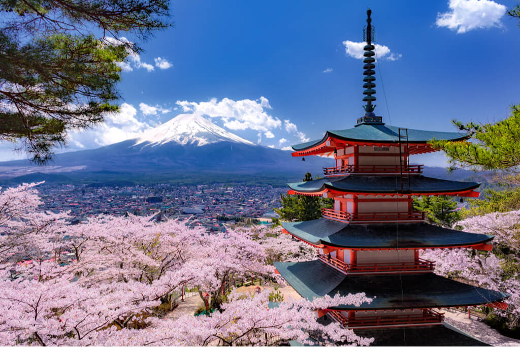 Cherry blossoms around a pagoda that overlooks Mt. Fuji and the town in front of it.