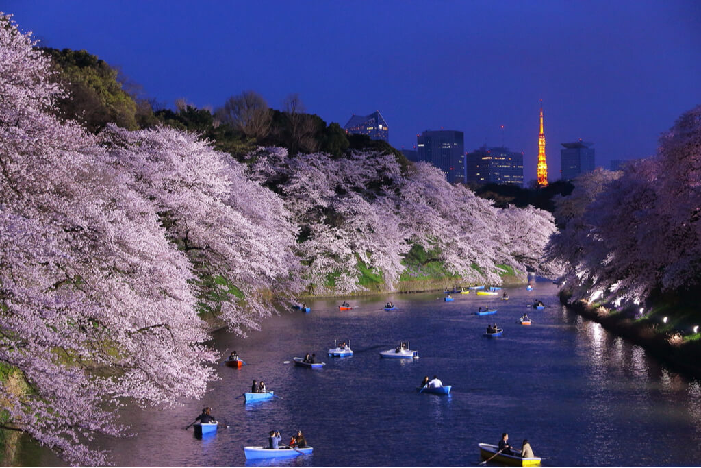 Sakura line a river where there are many people on boats and Tokyo Tower is in the background.