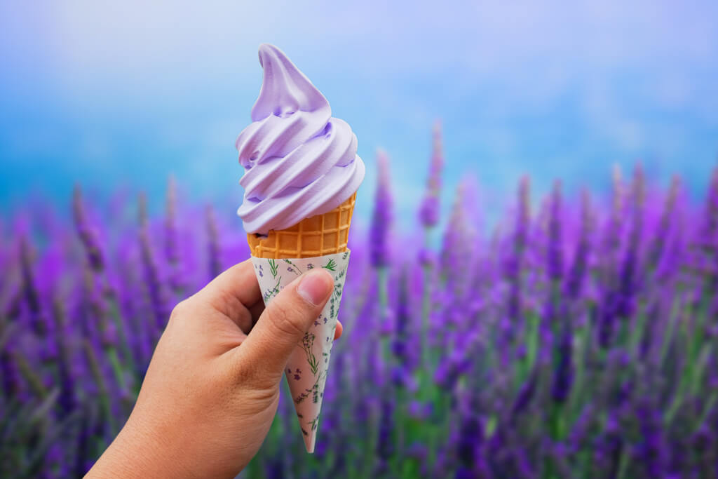 A woman holding Furano Lavender Soft Serve ice cream, a Hokkaido food dish, in front of the Furano lavender fields