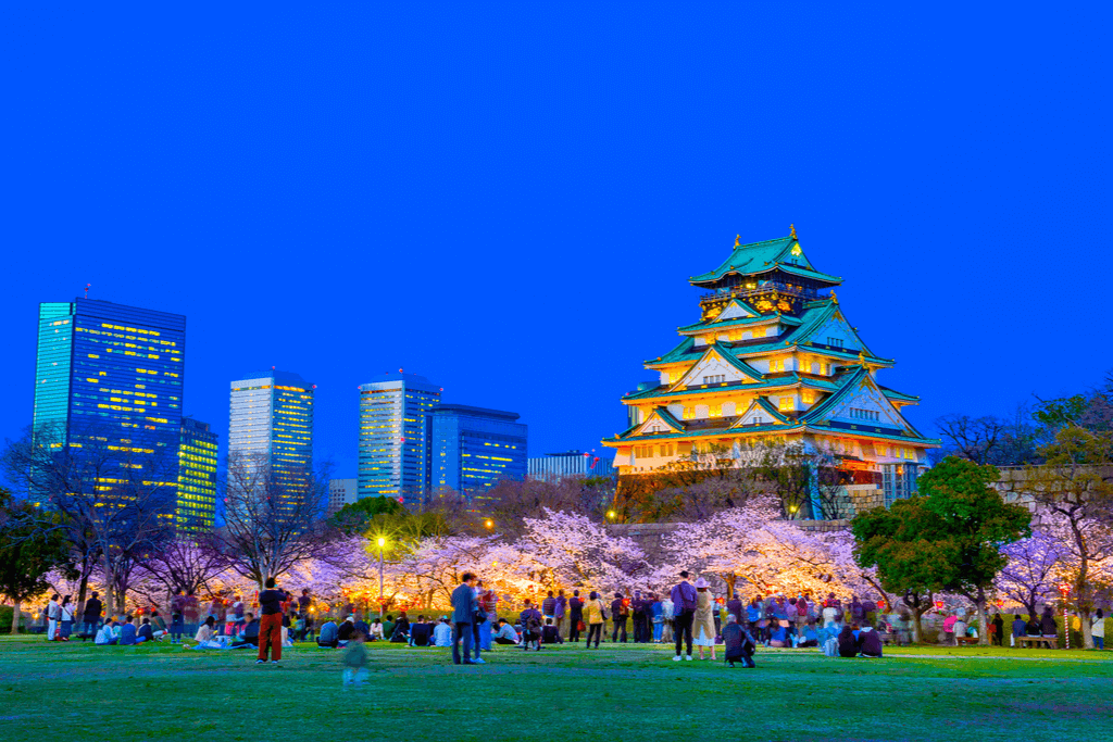 People gathered in front of Osaka Castle to participate in one of Osaka's evening Hanami Festivals. 