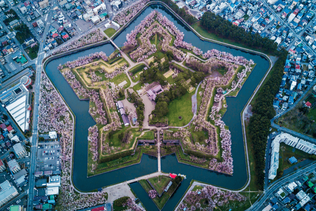 An overhead view of Goryokaku park, a star-shaped park that has beautiful sakura in May, making it a popular spot for hanami festivals.