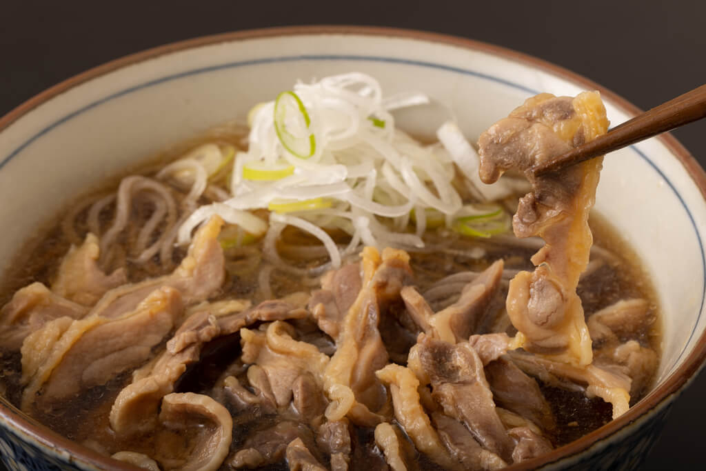 A bowl of cold meat soba, one of Japan's regional cold soba dishes from Yamagata, with strips of chicken and green onions on top of a soup.