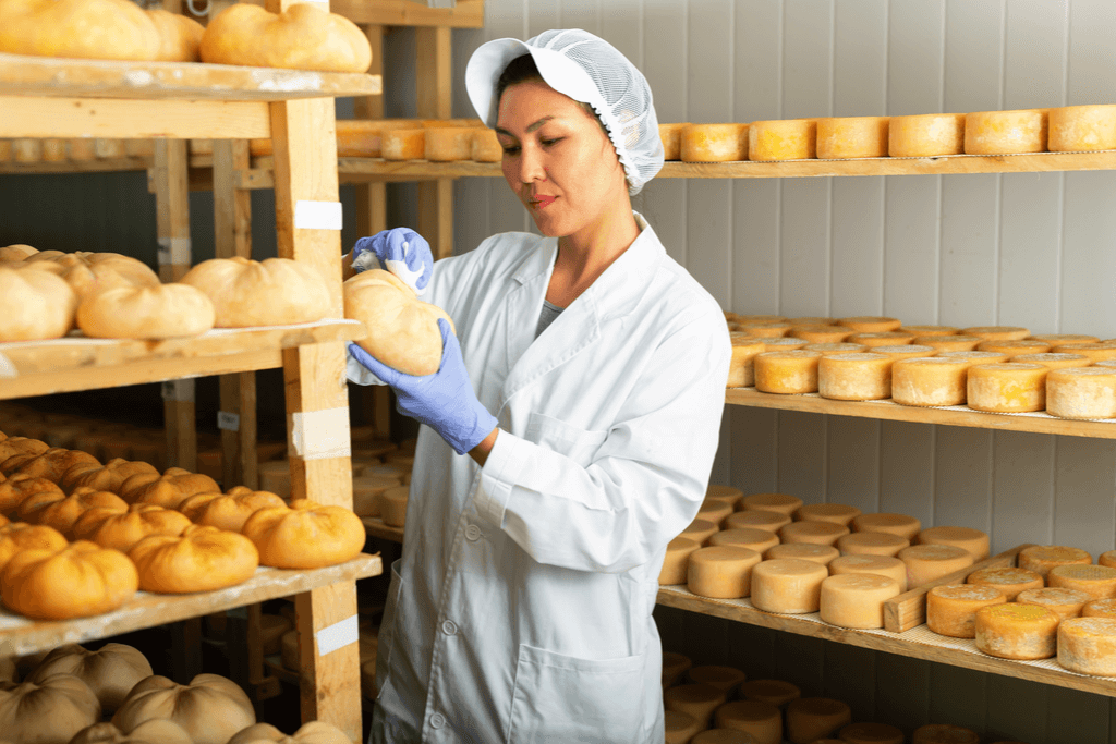 A Japanese woman examining the cheese she just made. She is wearing all-white safety clothing.