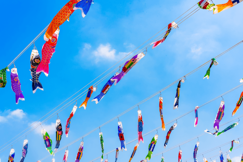 Colorful carp kites fly in the sky in celebration of Kodomo no Hi, a Shinto celbration in Japan.