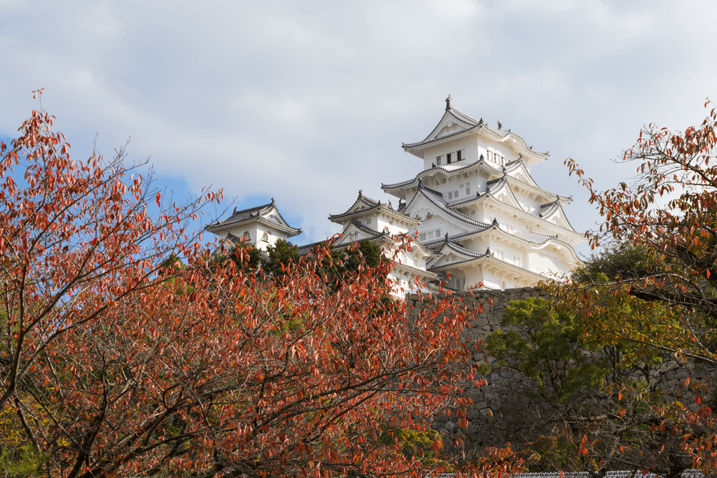 An autumn landscape photo of Himseiji Castle in Hyogo Prefecture.