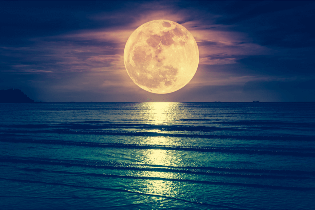 A photograph of a large full moon over an endless night sea.