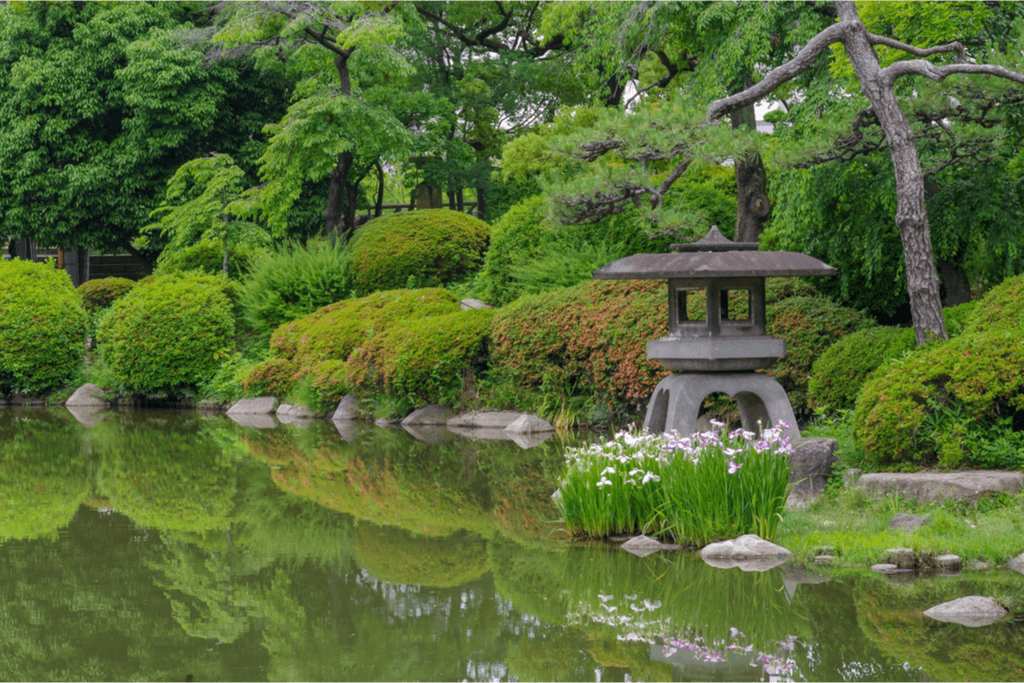 A lush green garden in a Japanese park.