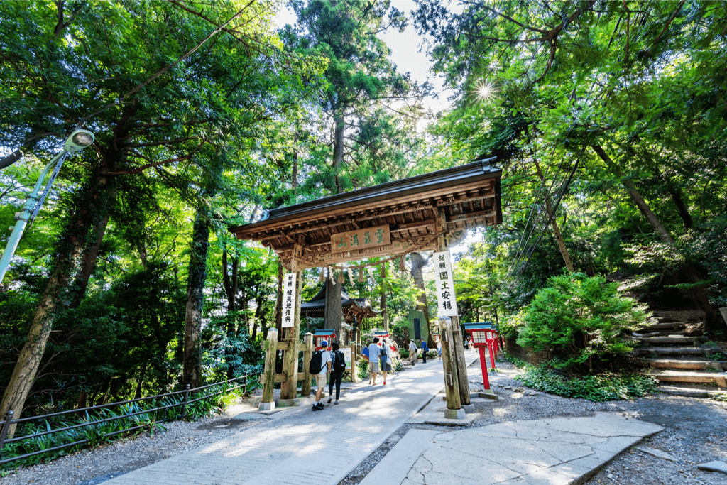 The torii gate of Mount Takao, in a lush, green forest.