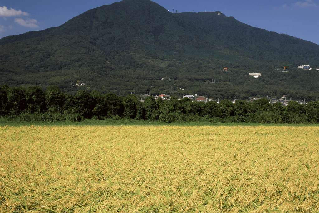 Mt. Tsukuba during the daytime, the grass is yellow and th mountain is green.