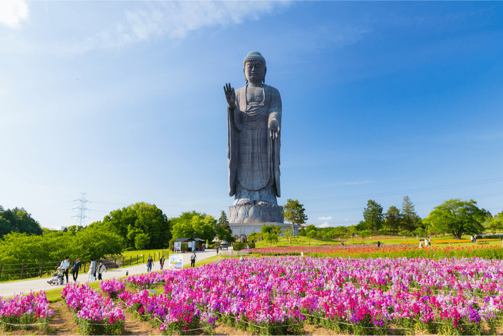 A picture of Ushiku Daibutsu, a very tall Buddha stature in a flower field. It's not too far from Mito, Ibaraki.