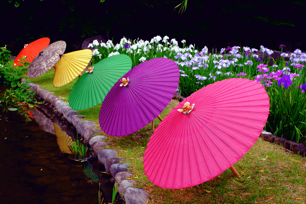 Colorful parasols next to an iris garden at Tokugawa Garden in Aichi Prefecture.