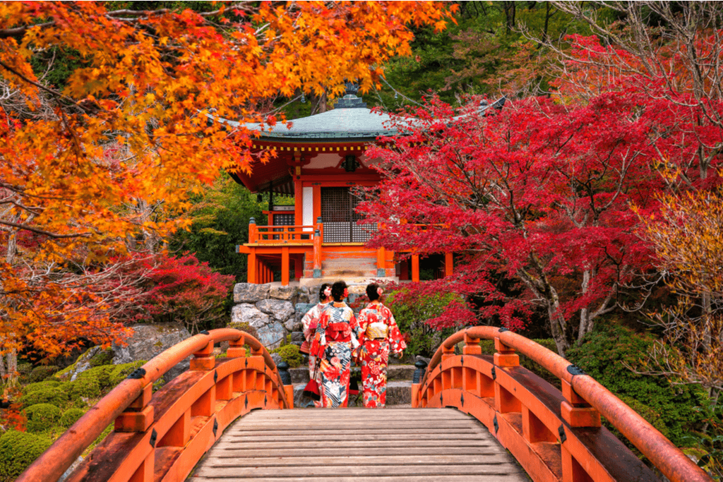 A young woman wearing a Japanese style yukata on a tree with autumn in japan leaves at Daigoji Temple