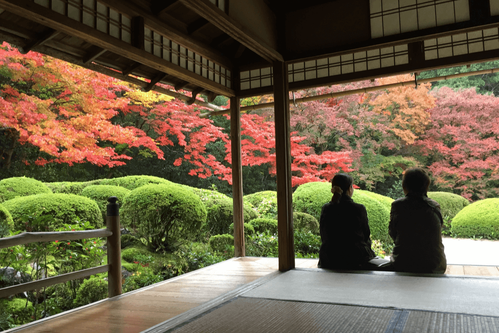 Two Japanese women enjoy autumn colorful Japanese garden at Enkoji temple in Kyoto, Japan.
