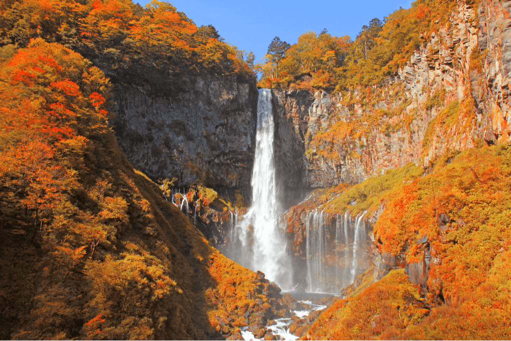 autumn season in Nikko, Japan, 100m waterfall surrounded by colorful trees 