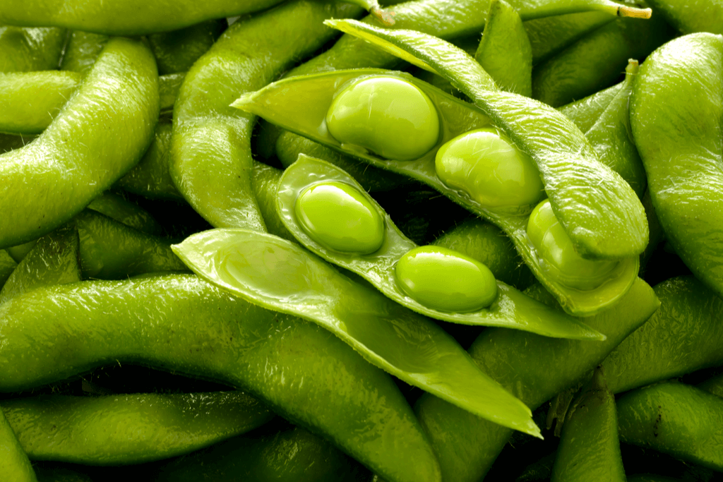 A close up of edamame. a type of Japanese bean.