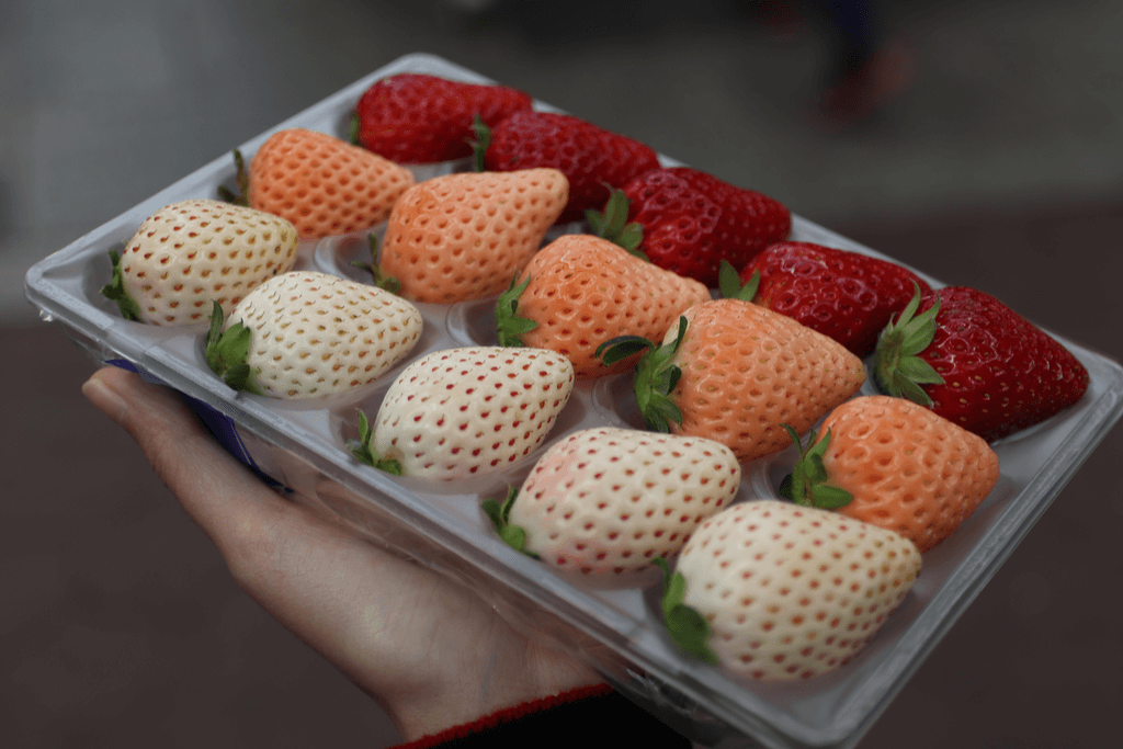 A basket of raw strawberries ranging from white in red in a gradient.