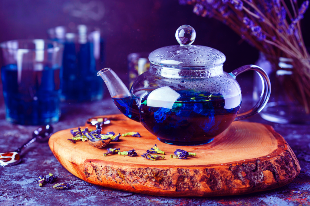 A glass tea pot of blue butterfly pea tea, surrounded by dried blue flowers.