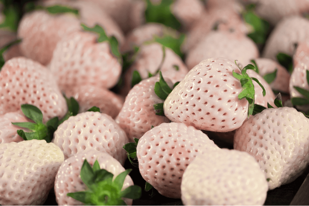 A group of white strawberries.