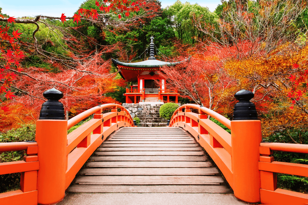An orange wooden bridge during Japan's koyo season.