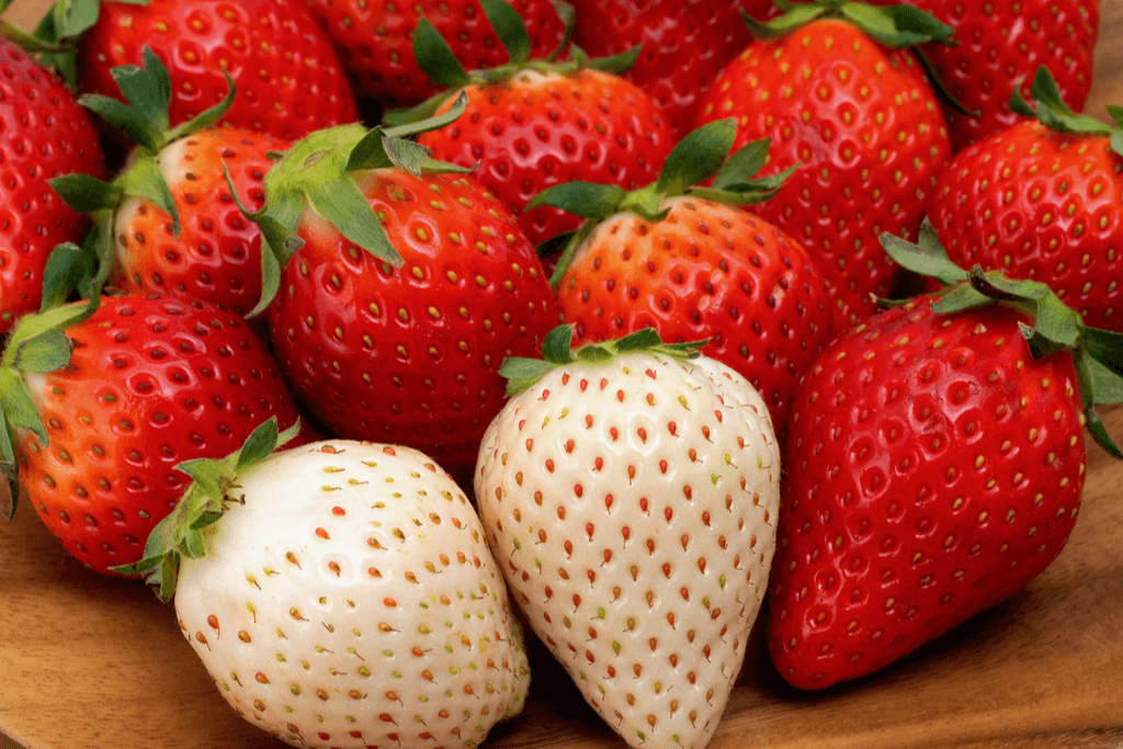 Two white strawberries among a pile of red strawberries.