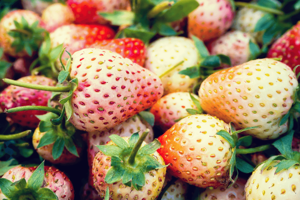 Another pile of fruit, the white berry type. Some of this comes from Tochigi.