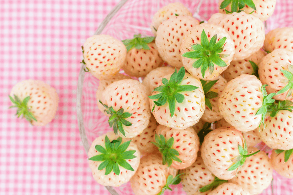 A pile of fruit--the white strawberry- on a red gingham tablecloth.