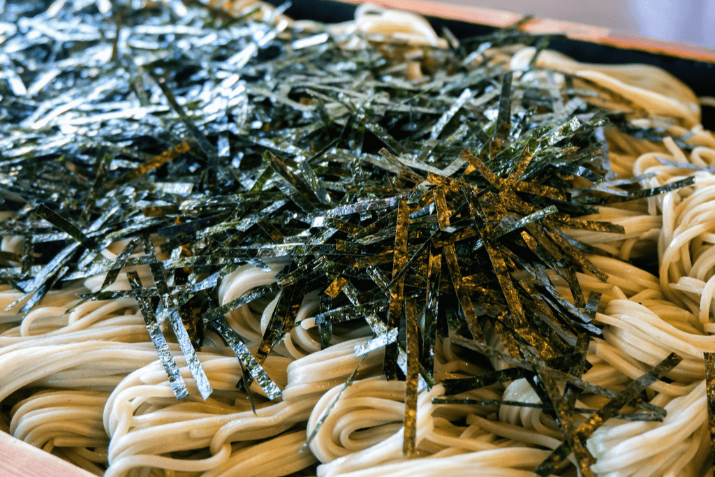 A plate of hegisoba with seaweed on top.