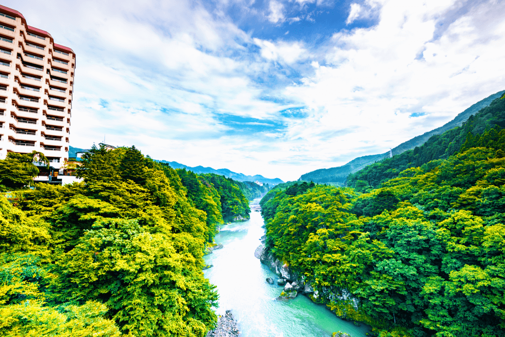 An eagle eye shot of Kinugawa River, surrounded by lush green trees.