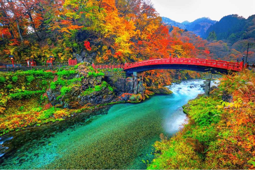 A shot of Nikko, Japan in nature; a river and a red bridge in autumn.