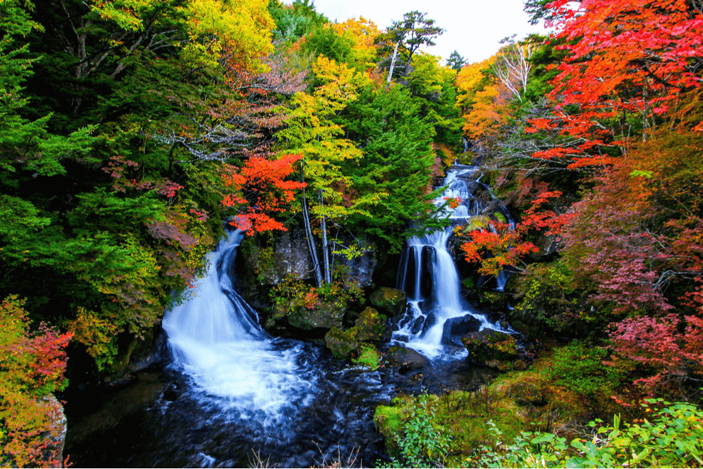 Autumn shot of Ryuzu Falls in Nikko, Japan. It's a waterfall.