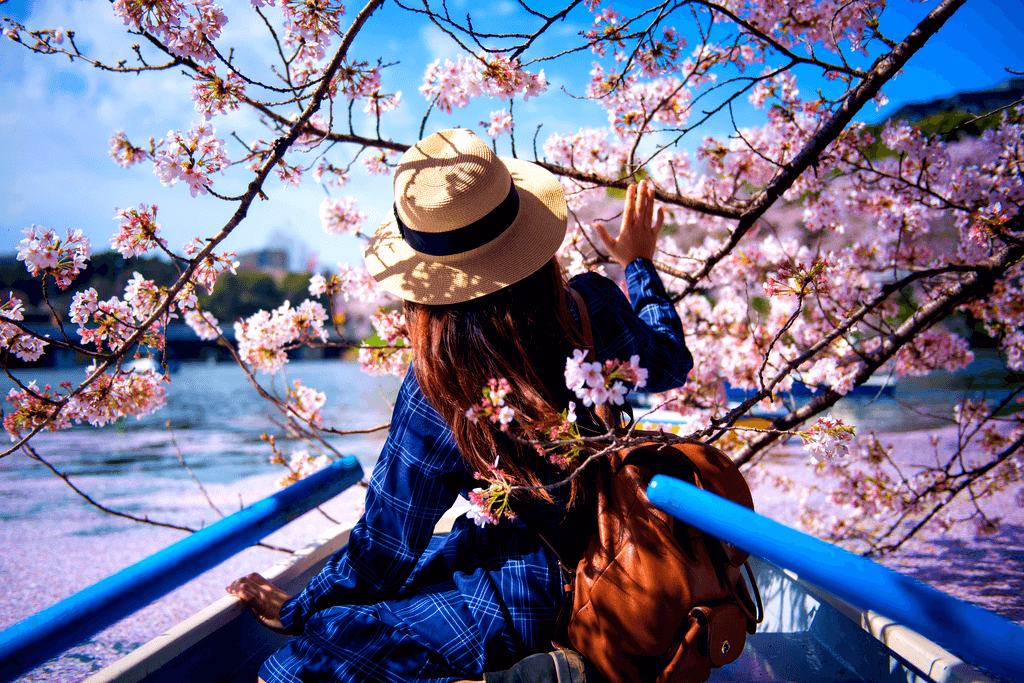 A picture of a woman in a boat among cherry blossoms.