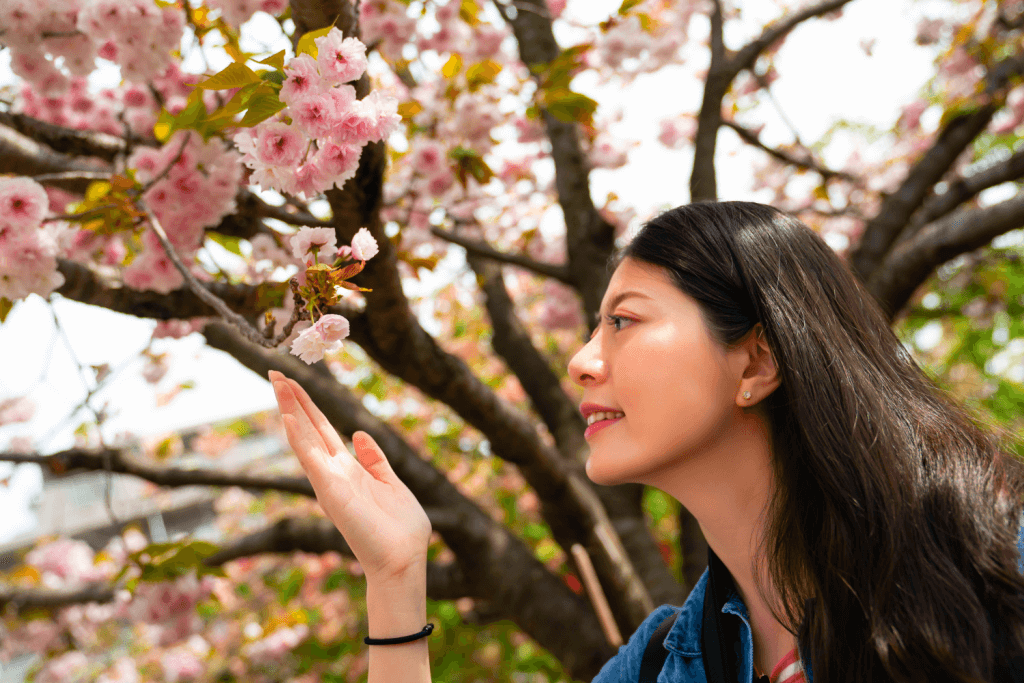 A woman softly gazing at a branch of cherry blossoms.
