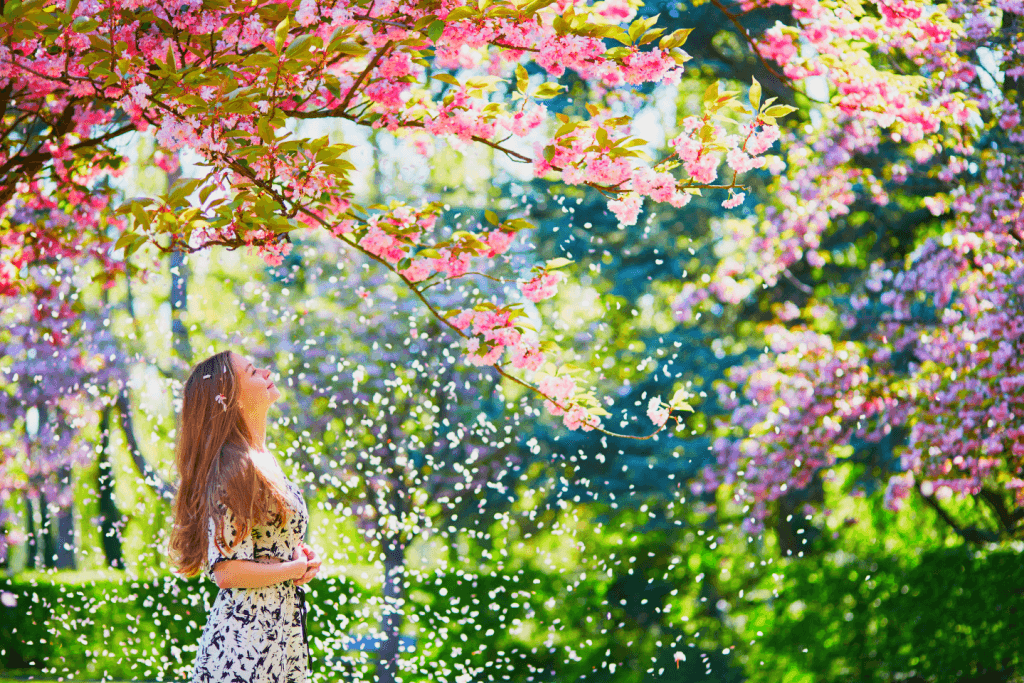 A woman basking in cherry blossom petals flowing everywhere.