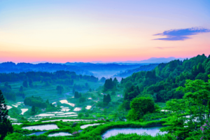 A picture of a rice paddy in twilight. This is the Hoshitoger Rice Terrace.