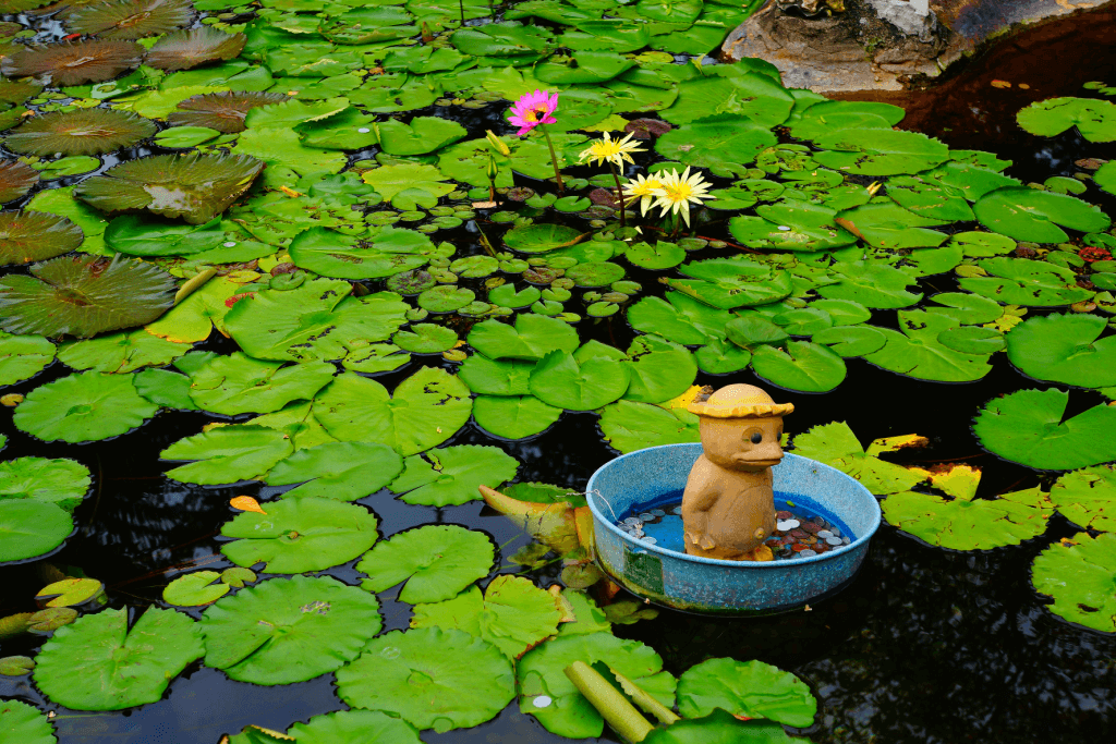 A small kappa statue sits on top of water lilies. It is a legendary mythical creature.
