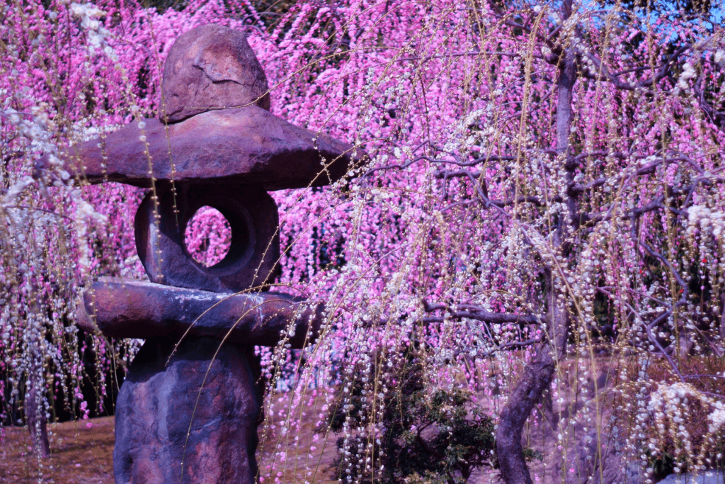 A stone statue next to plum blossom trees.