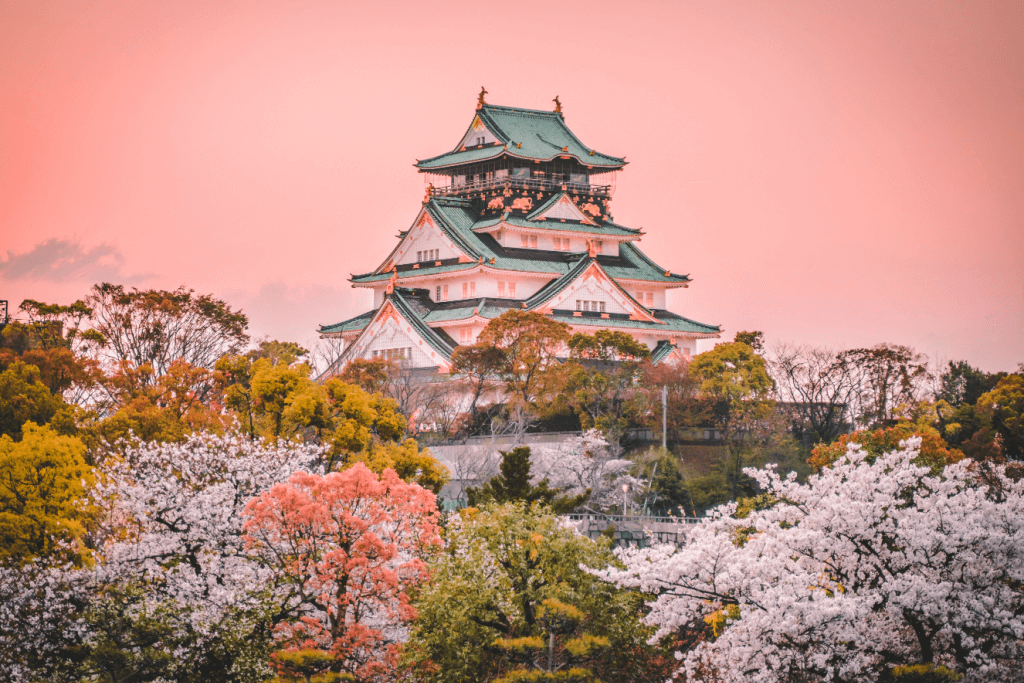 A castle during spring in Japan.