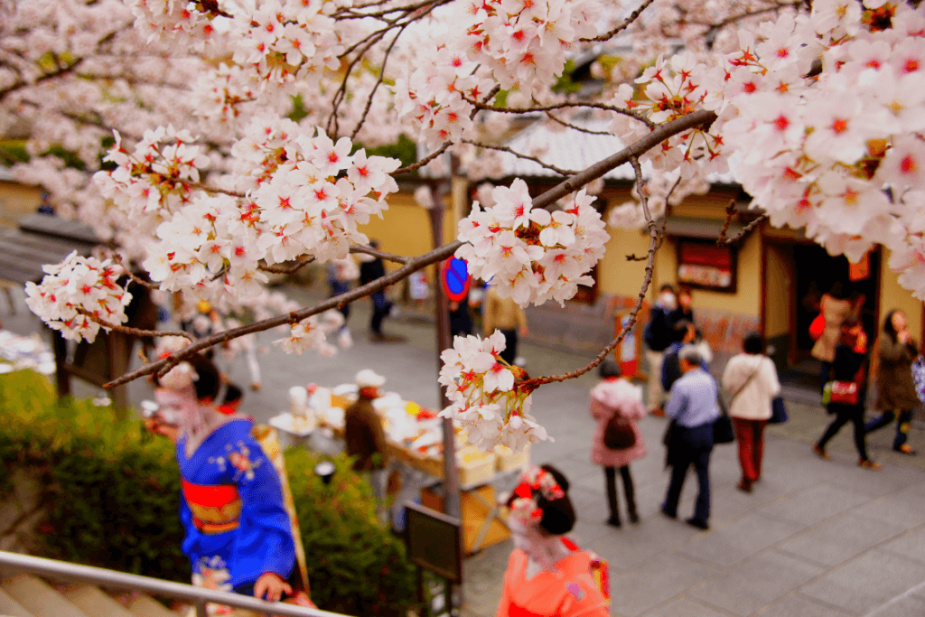 People walking around during spring in Japan while the cherry blossoms bloom.
