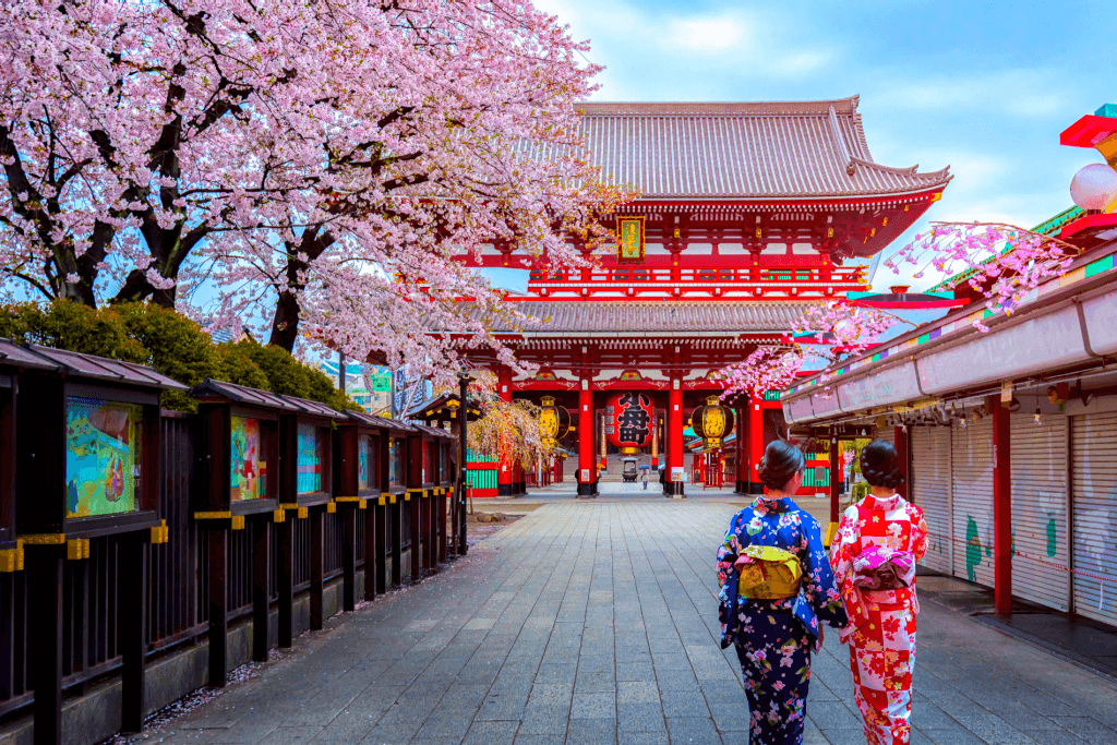 Two women in kimono walking down the street among cherry blossoms. There are many sakura words related to this vocabulary workshop.