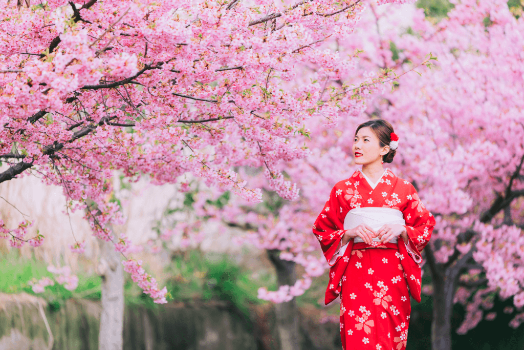 A women in a red womens kimono happily gazing and pink cherry blossoms.