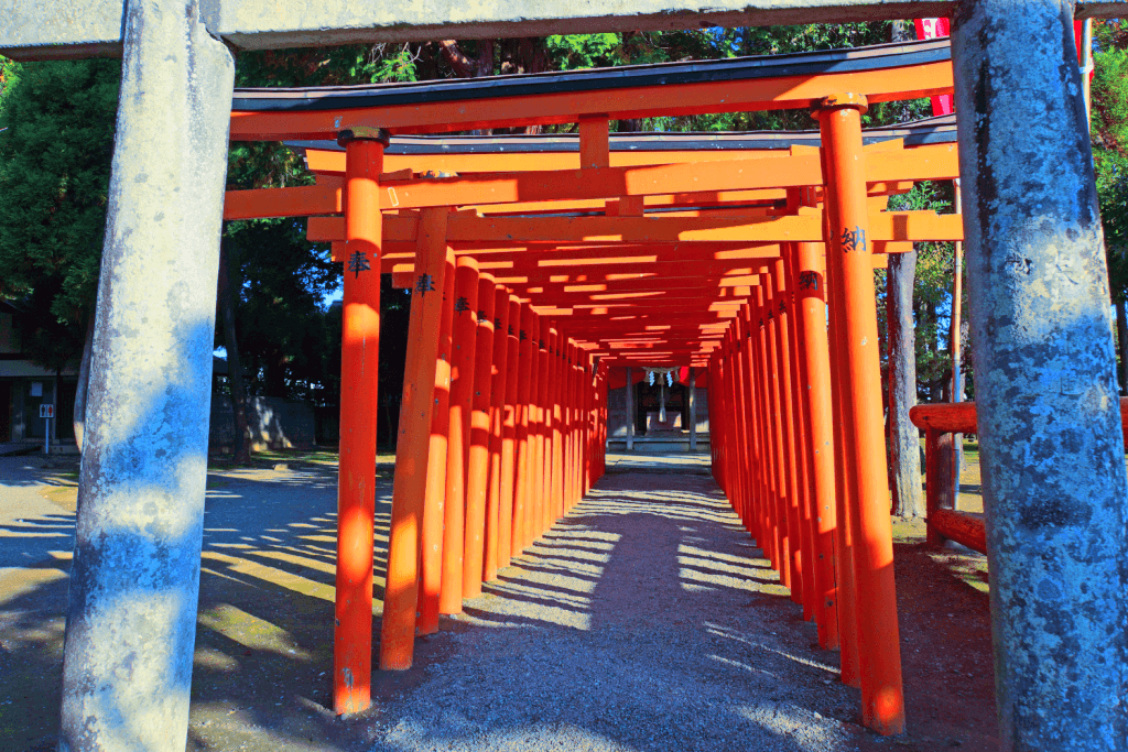 Orange torii gates near Izumi Shrine.