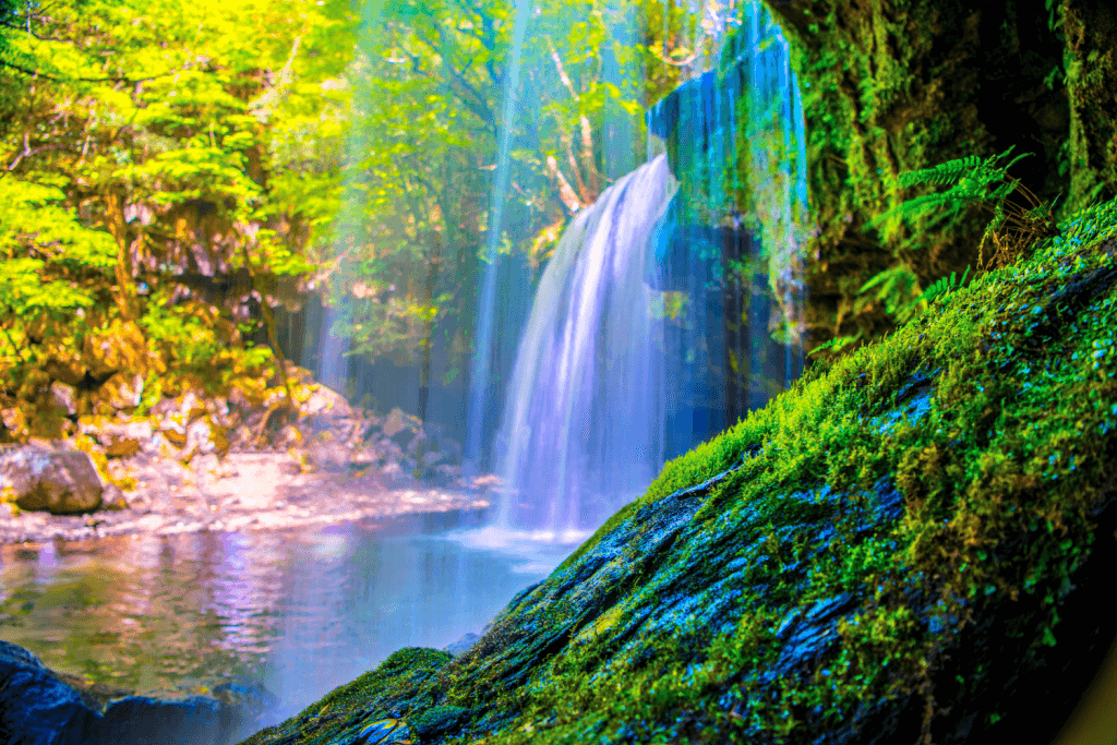 A lush waterfall in a Kumamoto forest.