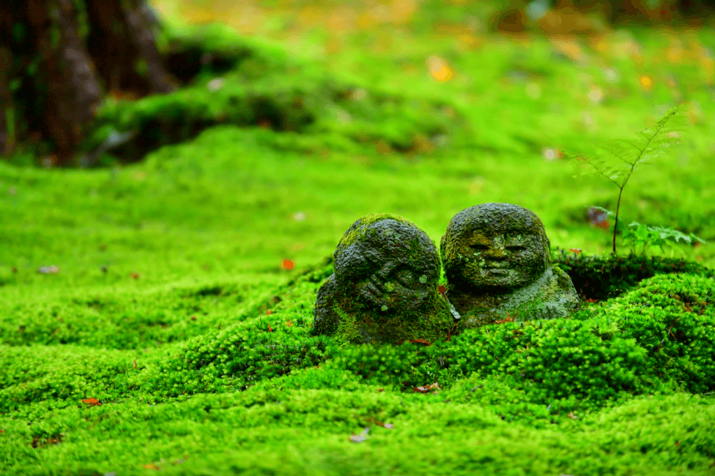 Overgrown moss on Buddha statues in a Zen garden.