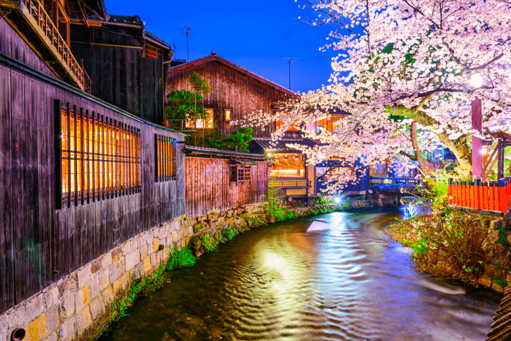 This river with cherry blossoms at night show why literature is important.
