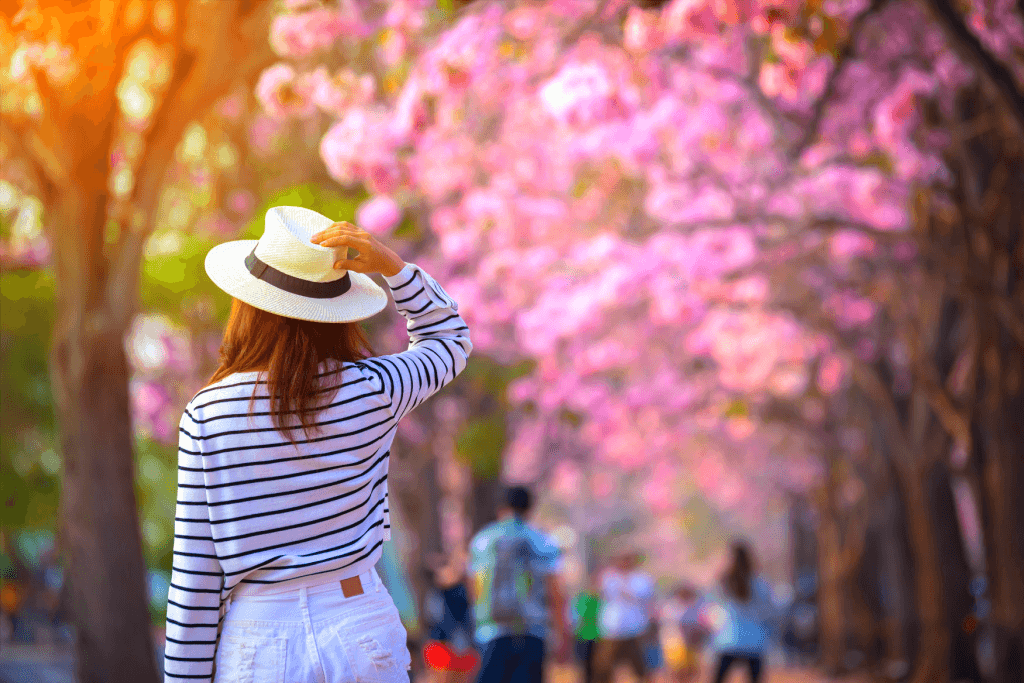 A woman in a striped shirt, wearing a boat hat, walking among the cherry blossoms, walking into spring love.