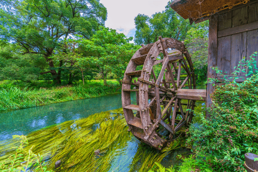 A Japanese wasabi farm, complete with a water mill in near a lush green forest.