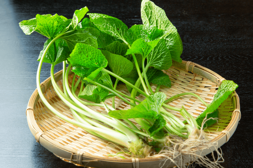 Long, green Japanese wasabi leaves in a wooden basket.